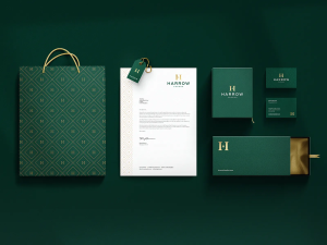 Crafting Strong Visual Brands Through Expert Identity Agencies
